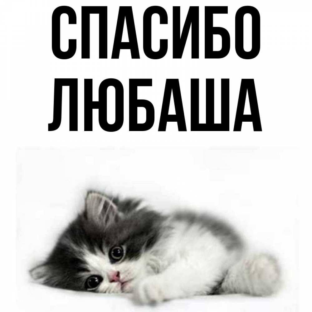 Спасибо любаша картинки