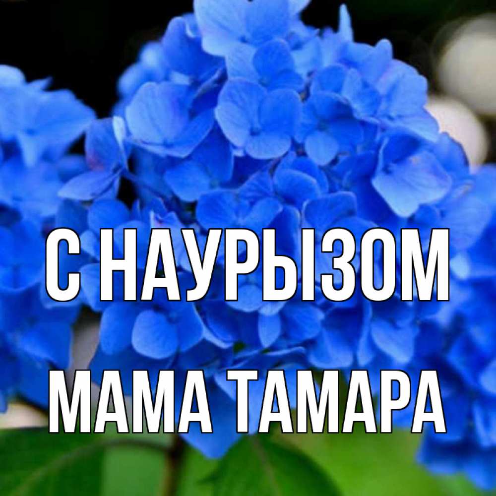 Открытка на каждый день с именем, Мама-Тамара С наурызом синие цветы Прикольная открытка с пожеланием онлайн скачать бесплатно 
