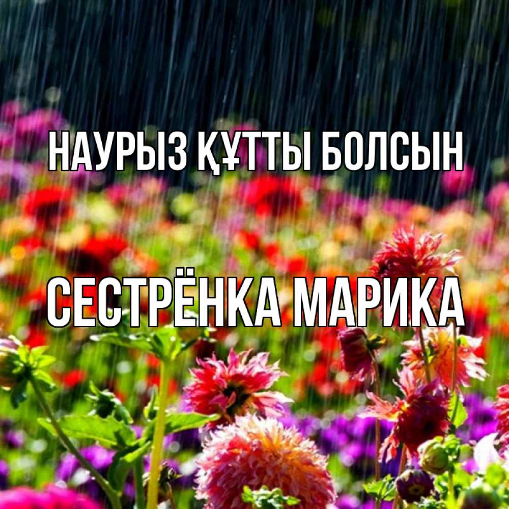 Открытка на каждый день с именем, Сестрёнка-Марика Наурыз құтты болсын цветы под дождиком к наурызу Прикольная открытка с пожеланием онлайн скачать бесплатно 