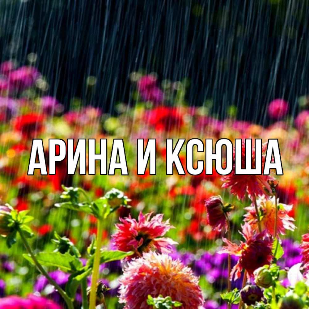 Открытка на каждый день с именем, Арина-и-Ксюша Главная цветы под дождиком к международному женскому дню Прикольная открытка с пожеланием онлайн скачать бесплатно 