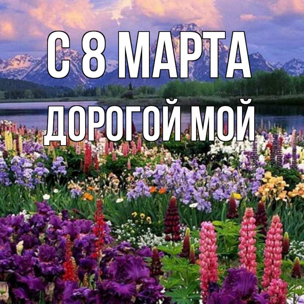 Открытка на каждый день с именем, Дорогой-мой С 8 МАРТА международный женский день Прикольная открытка с пожеланием онлайн скачать бесплатно 