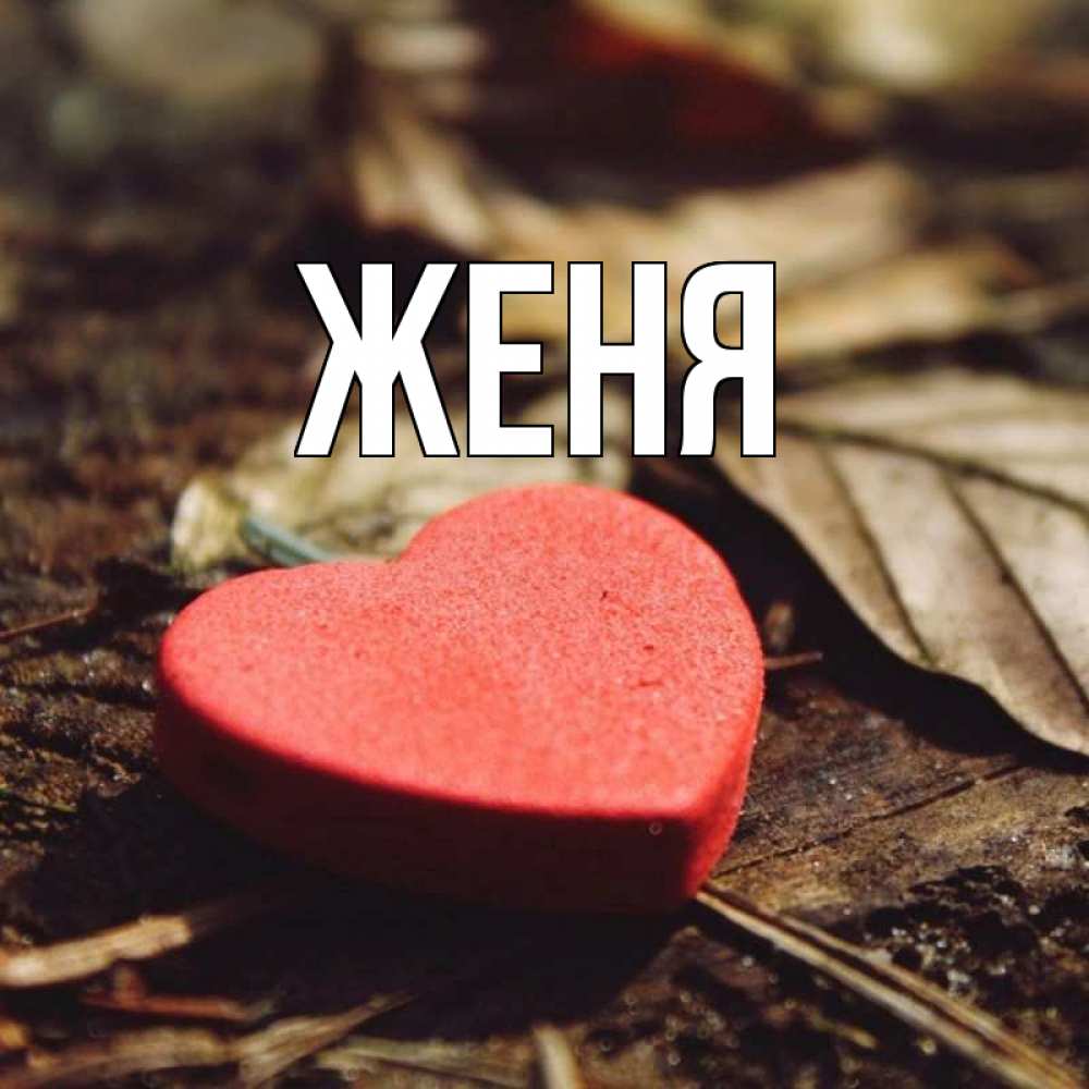 Открытка на каждый день с именем, Женя Главная листья деревье 4 Прикольная открытка с пожеланием онлайн скачать бесплатно 