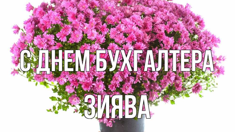Открытка с именем, Зиява, С днем бухгалтера