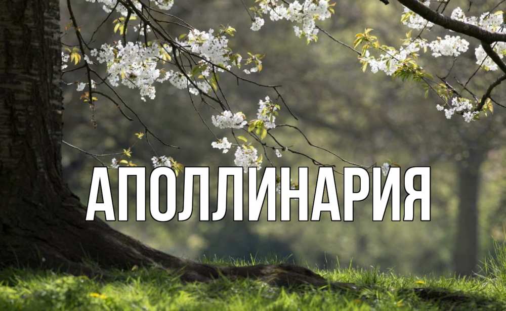 Открытка на каждый день с именем, Аполлинария Главная С 1 мая Прикольная открытка с пожеланием онлайн скачать бесплатно 