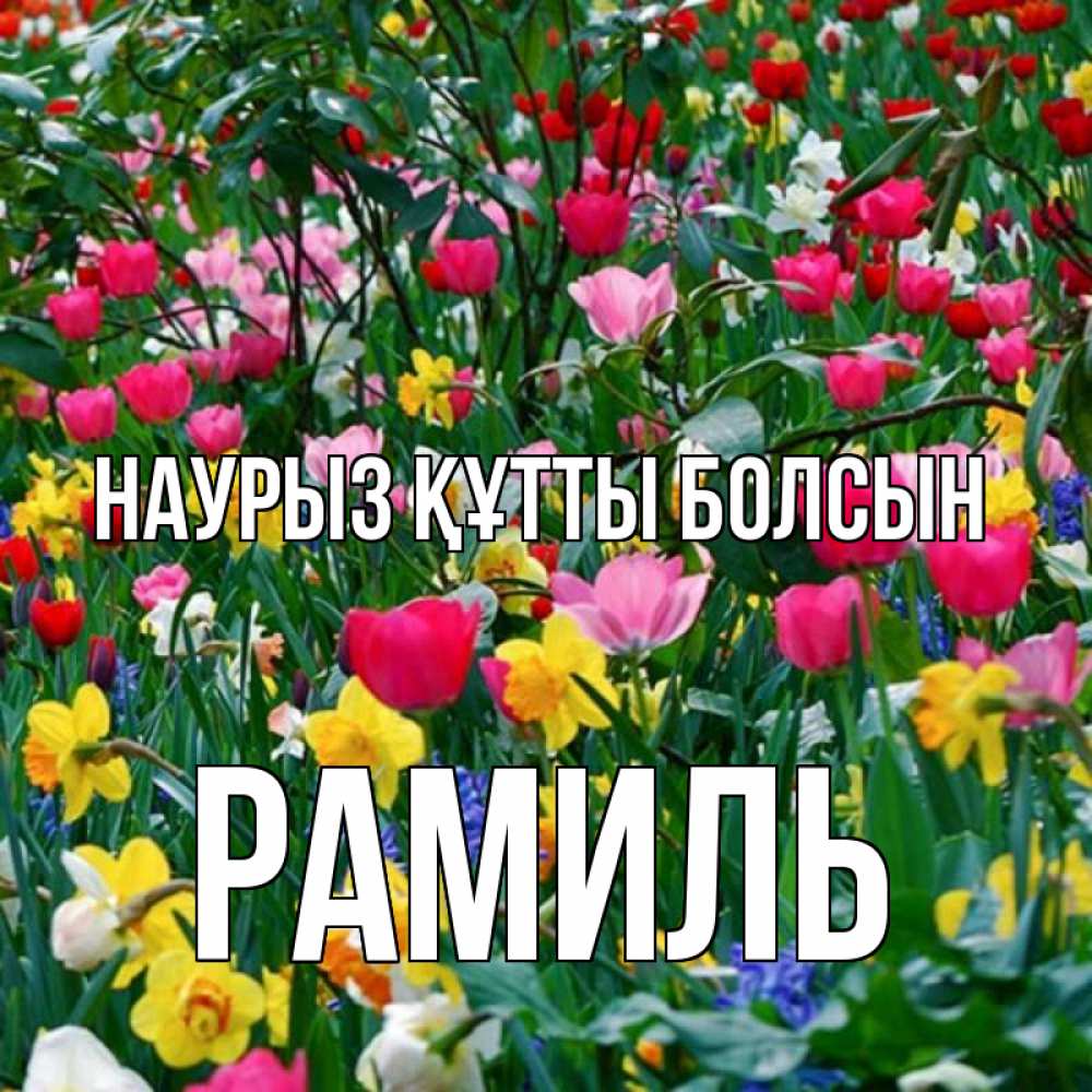 Открытка на каждый день с именем, Рамиль Наурыз құтты болсын с наурызом поздравления для женщины Прикольная открытка с пожеланием онлайн скачать бесплатно 