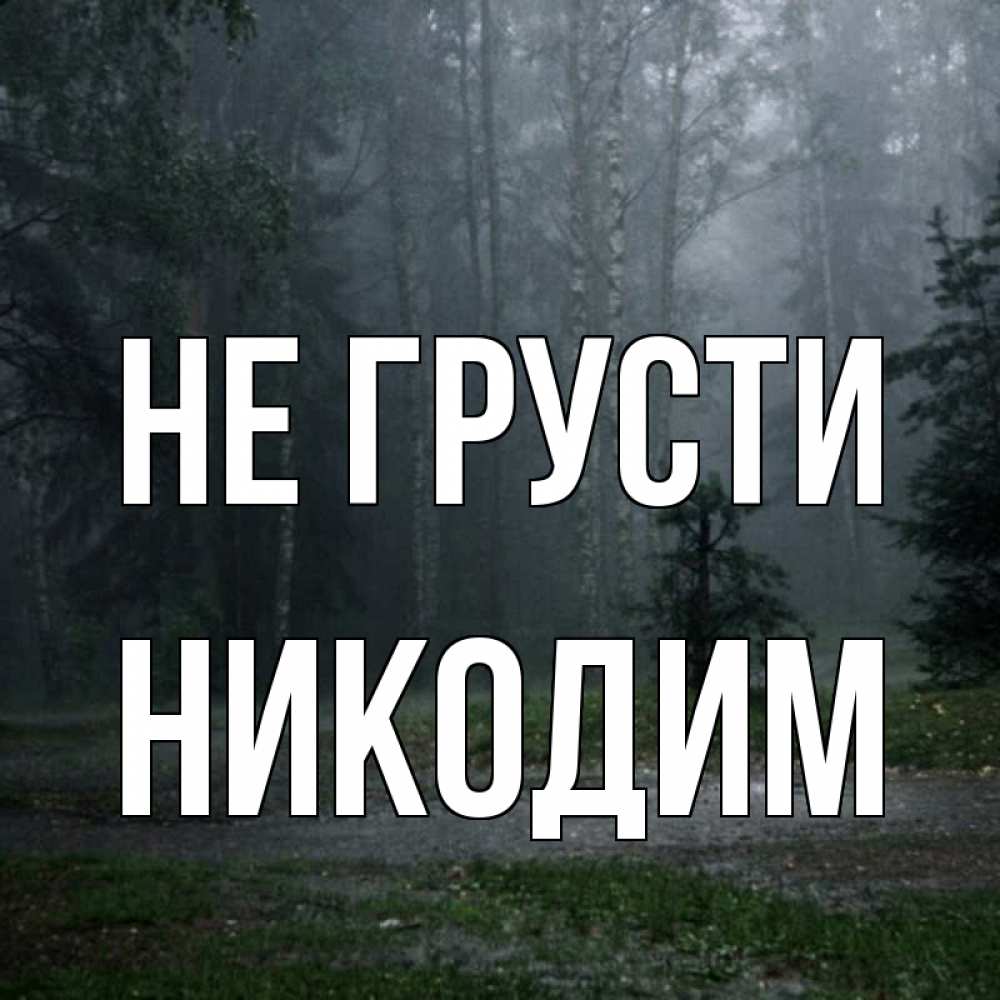 Открытка на каждый день с именем, Никодим Не грусти осень Прикольная открытка с пожеланием онлайн скачать бесплатно 