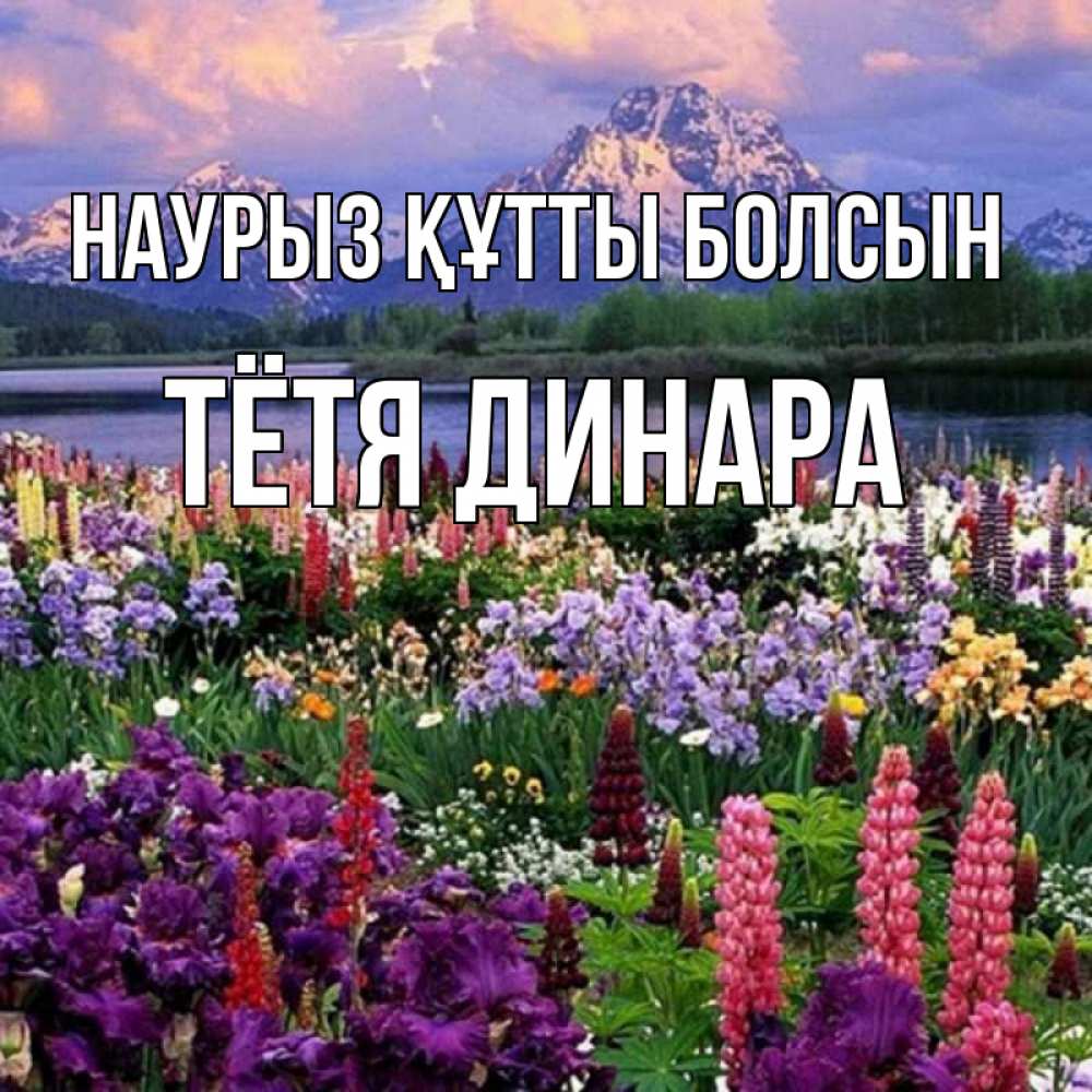 Открытка на каждый день с именем, Тётя-Динара Наурыз құтты болсын наурыз Прикольная открытка с пожеланием онлайн скачать бесплатно 