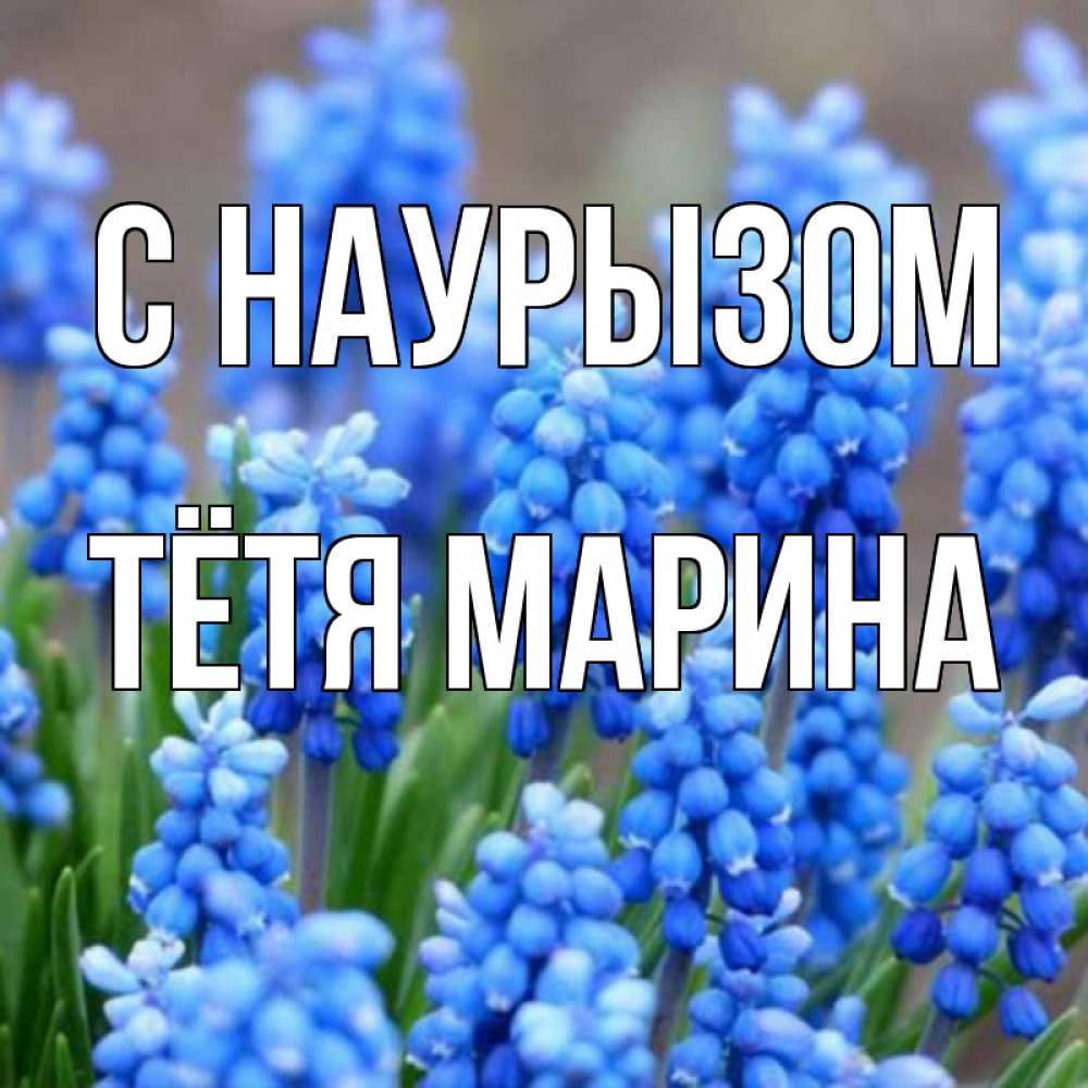 Открытка на каждый день с именем, Тётя-Марина С наурызом Поздравительная открытка для женщин с цветами на праздничную дату Прикольная открытка с пожеланием онлайн скачать бесплатно 