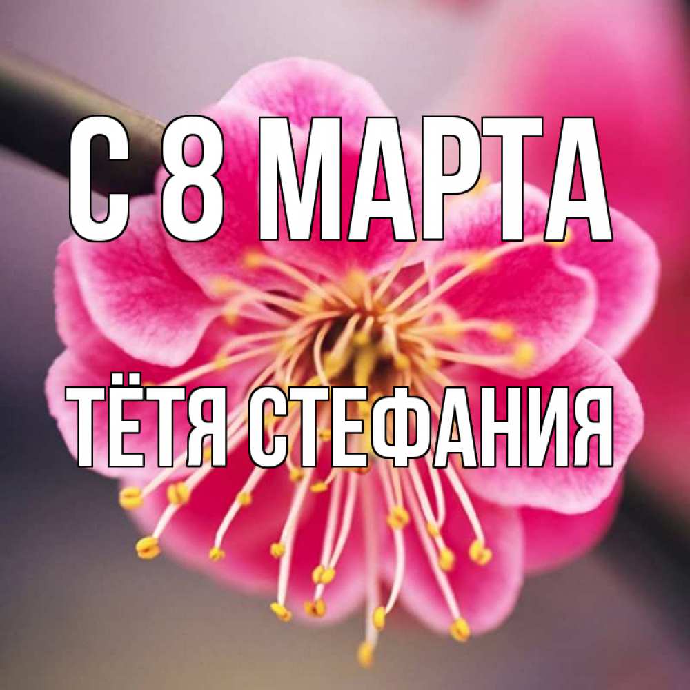 Открытка на каждый день с именем, Тётя-Стефания С 8 МАРТА цветы Прикольная открытка с пожеланием онлайн скачать бесплатно 