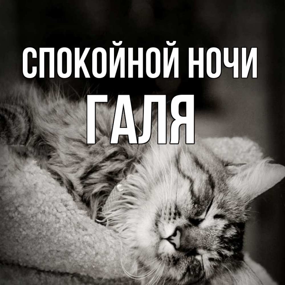 Спокойной ночи галя картинки