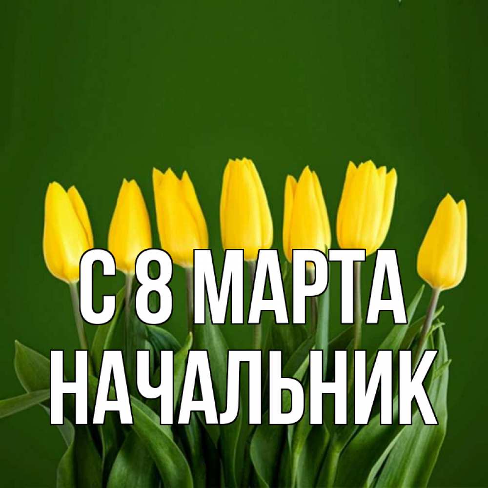 Открытка на каждый день с именем, Начальник С 8 МАРТА желтого цвета 3 Прикольная открытка с пожеланием онлайн скачать бесплатно 