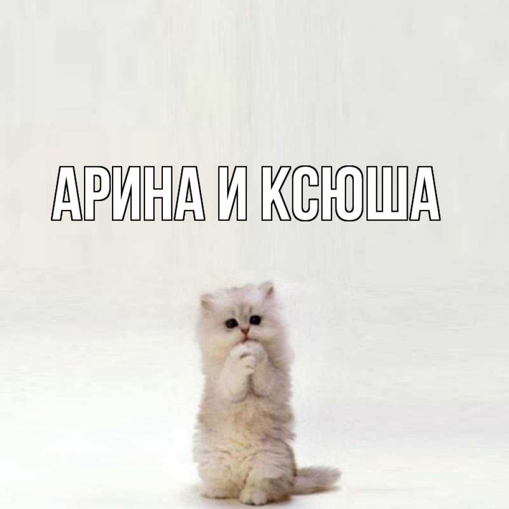 Открытка на каждый день с именем, Арина-и-Ксюша Главная грустный кот Прикольная открытка с пожеланием онлайн скачать бесплатно 