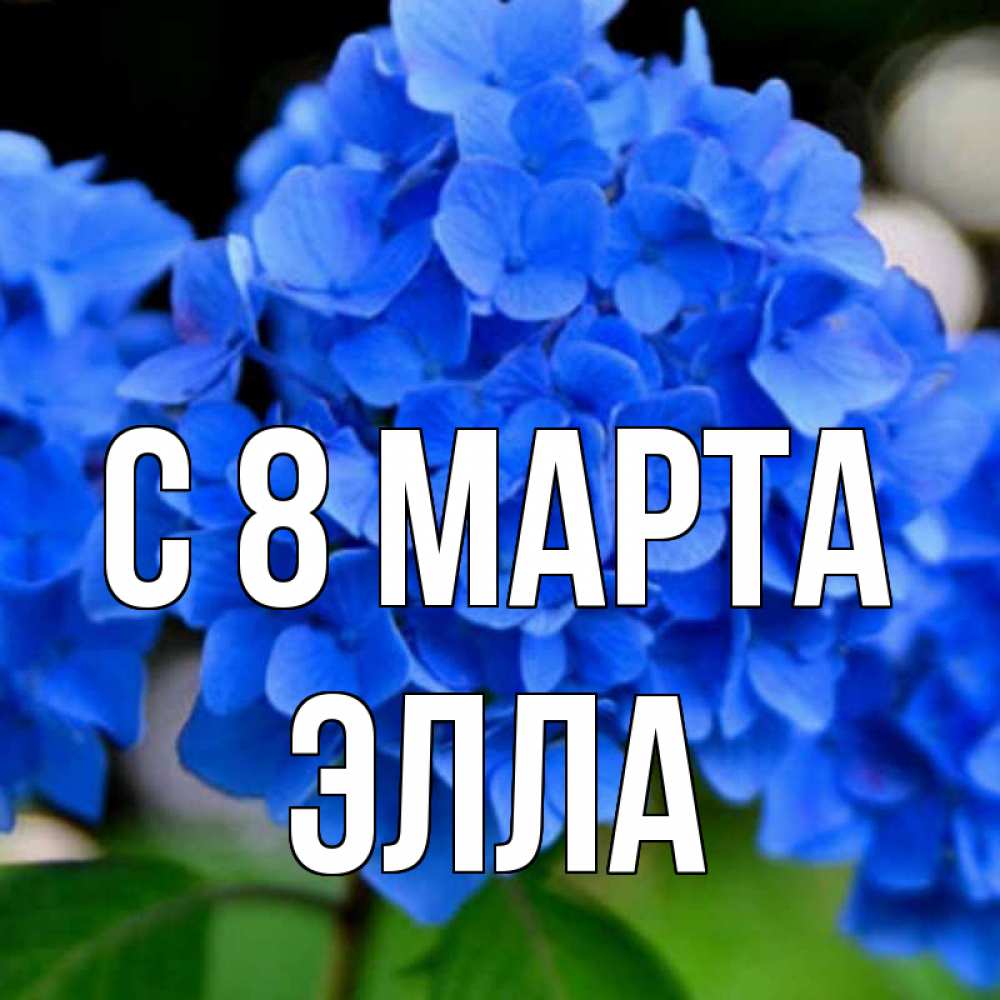 Открытка на каждый день с именем, Элла С 8 МАРТА синие цветы Прикольная открытка с пожеланием онлайн скачать бесплатно 