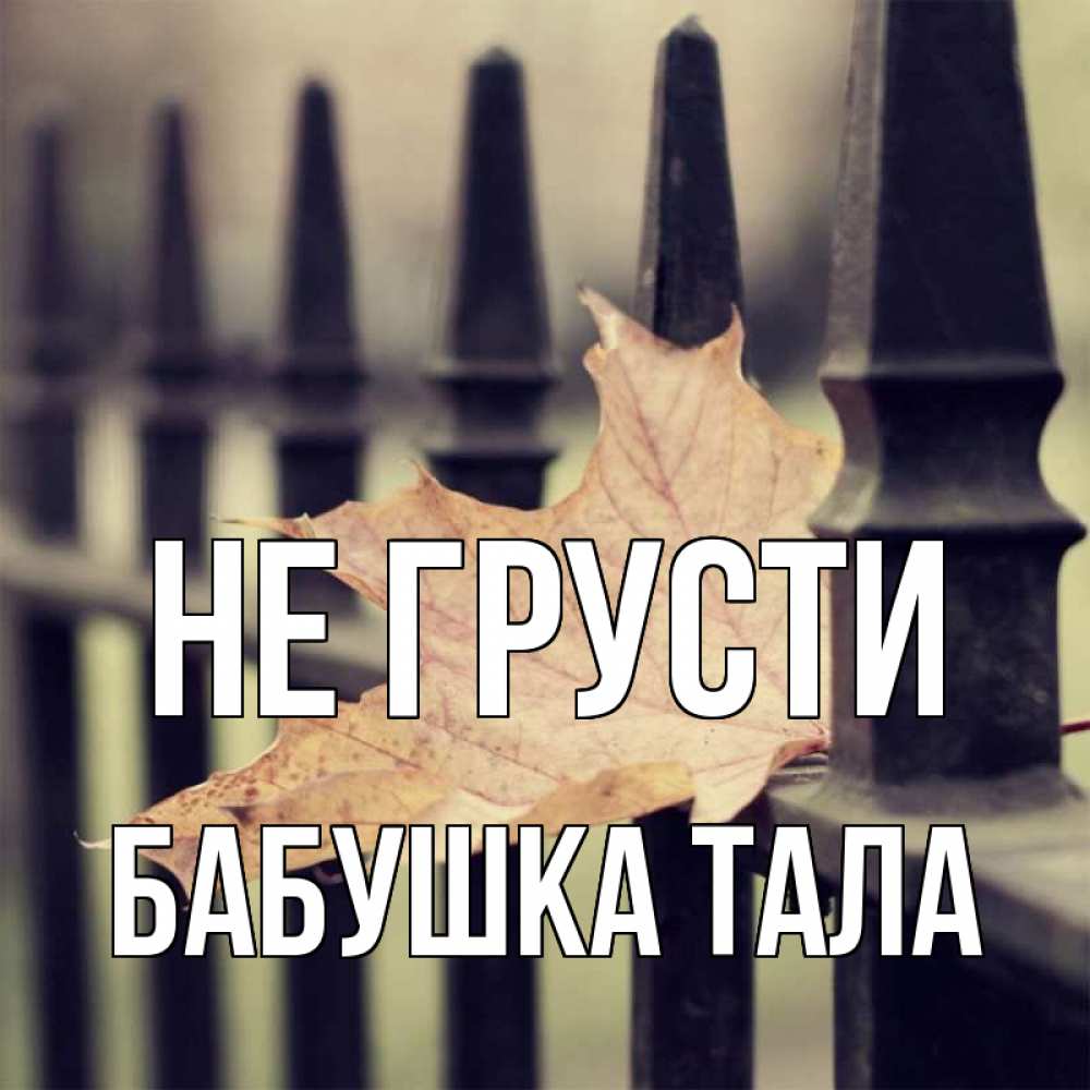 Открытка на каждый день с именем, Бабушка-Тала Не грусти лист клена Прикольная открытка с пожеланием онлайн скачать бесплатно 