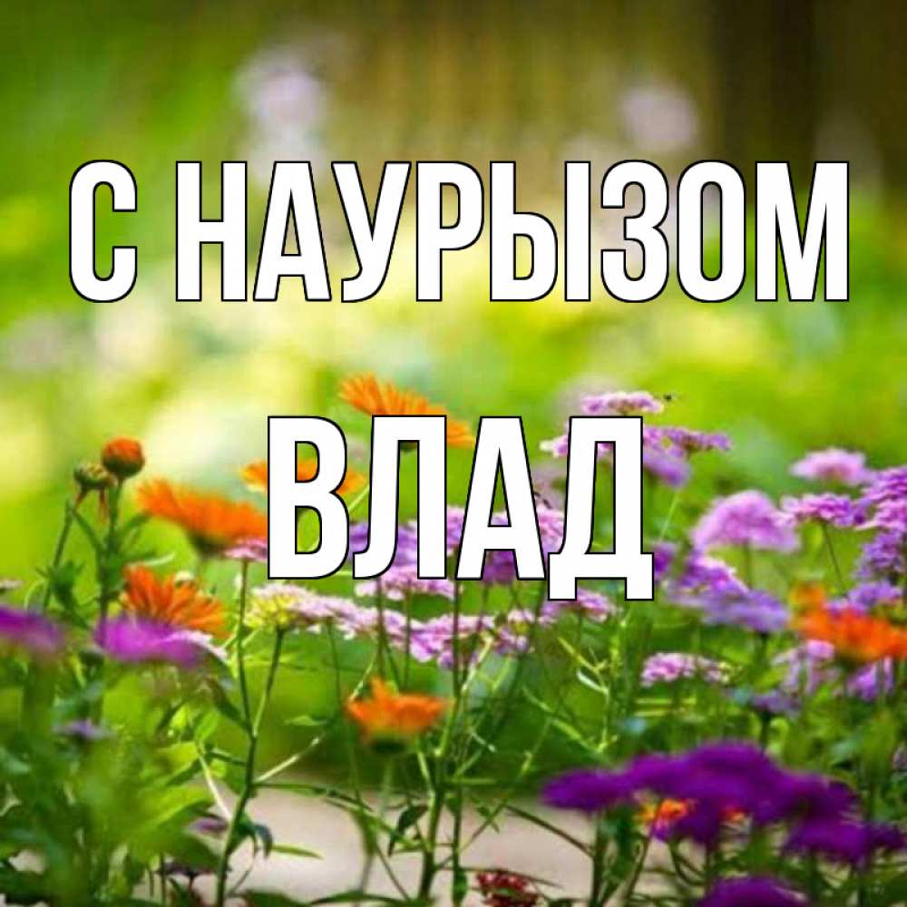 Картинка С наурызом, Влад