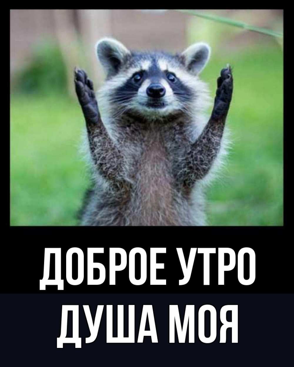 Открытка на каждый день с именем, Душа-моя Доброе утро хорошее настроение утречком Прикольная открытка с пожеланием онлайн скачать бесплатно 