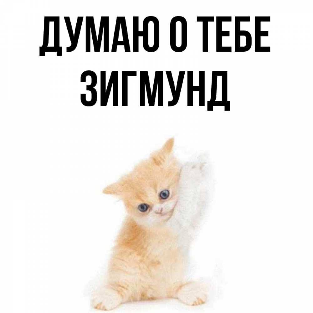 Открытка на каждый день с именем, Зигмунд Думаю о тебе зверушки и милота Прикольная открытка с пожеланием онлайн скачать бесплатно 