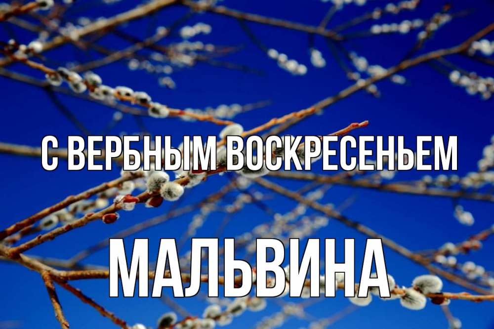Открытка на каждый день с именем, Мальвина С вербным воскресеньем верба Прикольная открытка с пожеланием онлайн скачать бесплатно 