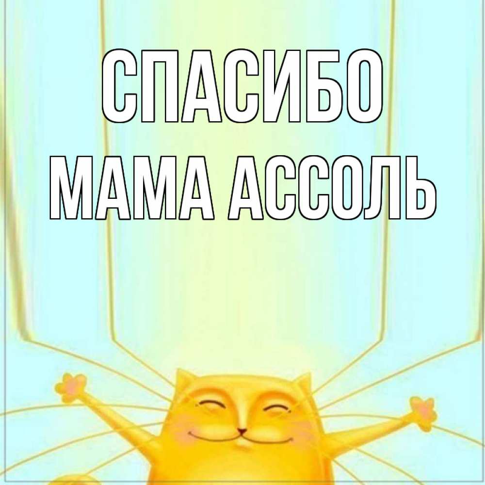Открытка на каждый день с именем, Мама-Ассоль Спасибо кот с усами благодарит Прикольная открытка с пожеланием онлайн скачать бесплатно 
