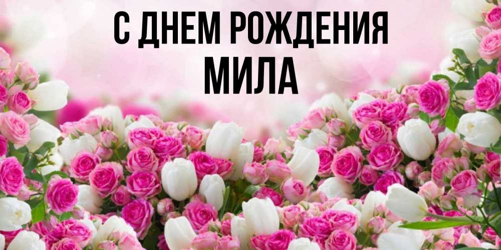 Открытка на каждый день с именем, Мила С днем рождения открытка с разными розами Прикольная открытка с пожеланием онлайн скачать бесплатно 