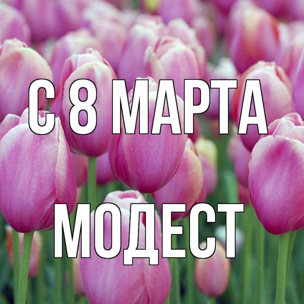Картинка С 8 МАРТА, Модест