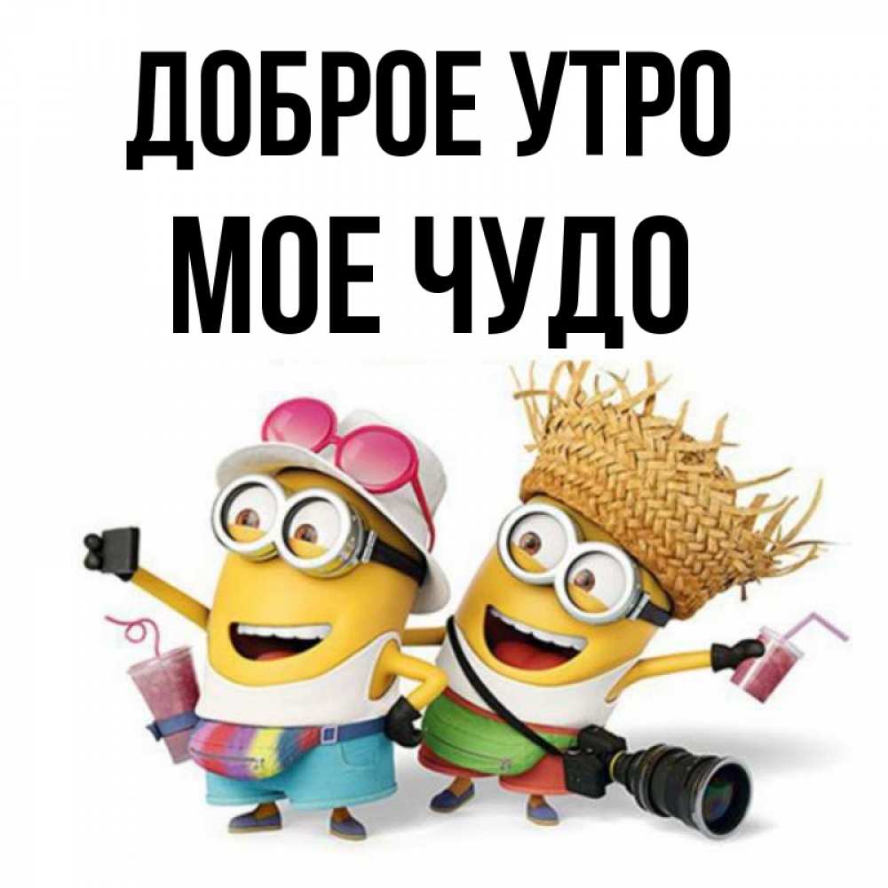 Открытка на каждый день с именем, Мое-чудо Доброе утро карнавал Прикольная открытка с пожеланием онлайн скачать бесплатно 