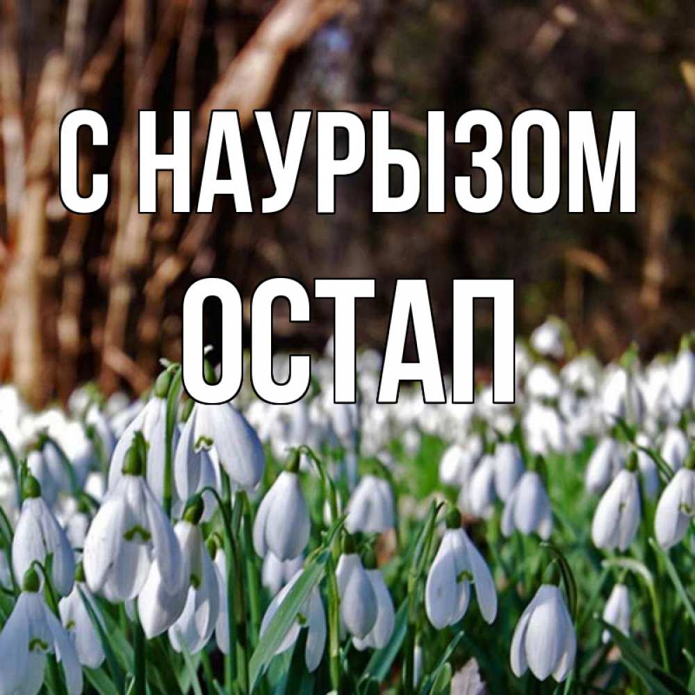 Открытка на каждый день с именем, Остап С наурызом с подснежниками 1 Прикольная открытка с пожеланием онлайн скачать бесплатно 