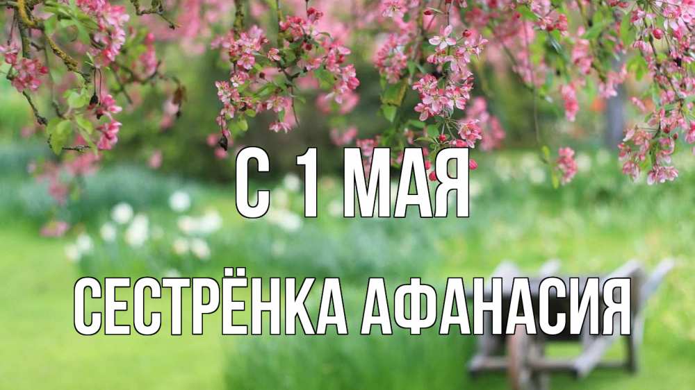 Открытка на каждый день с именем, Сестрёнка-Афанасия С 1 мая С 1 мая Прикольная открытка с пожеланием онлайн скачать бесплатно 