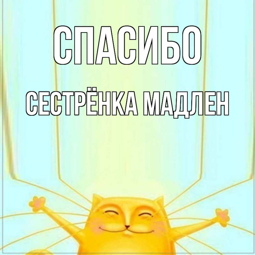 Открытка на каждый день с именем, Сестрёнка-Мадлен Спасибо кот с усами благодарит Прикольная открытка с пожеланием онлайн скачать бесплатно 