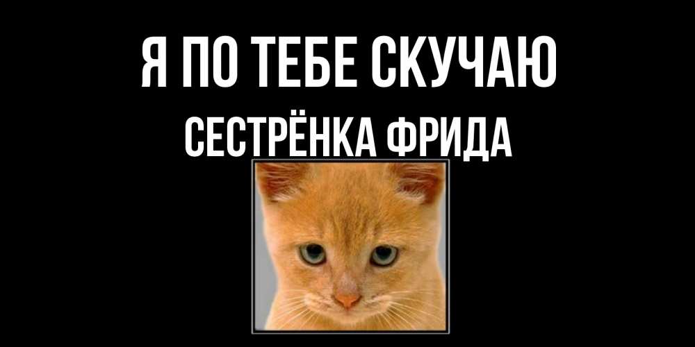 Открытка на каждый день с именем, Сестрёнка-Фрида Я по тебе скучаю открытки рыжий котенок скучает по тебе Прикольная открытка с пожеланием онлайн скачать бесплатно 