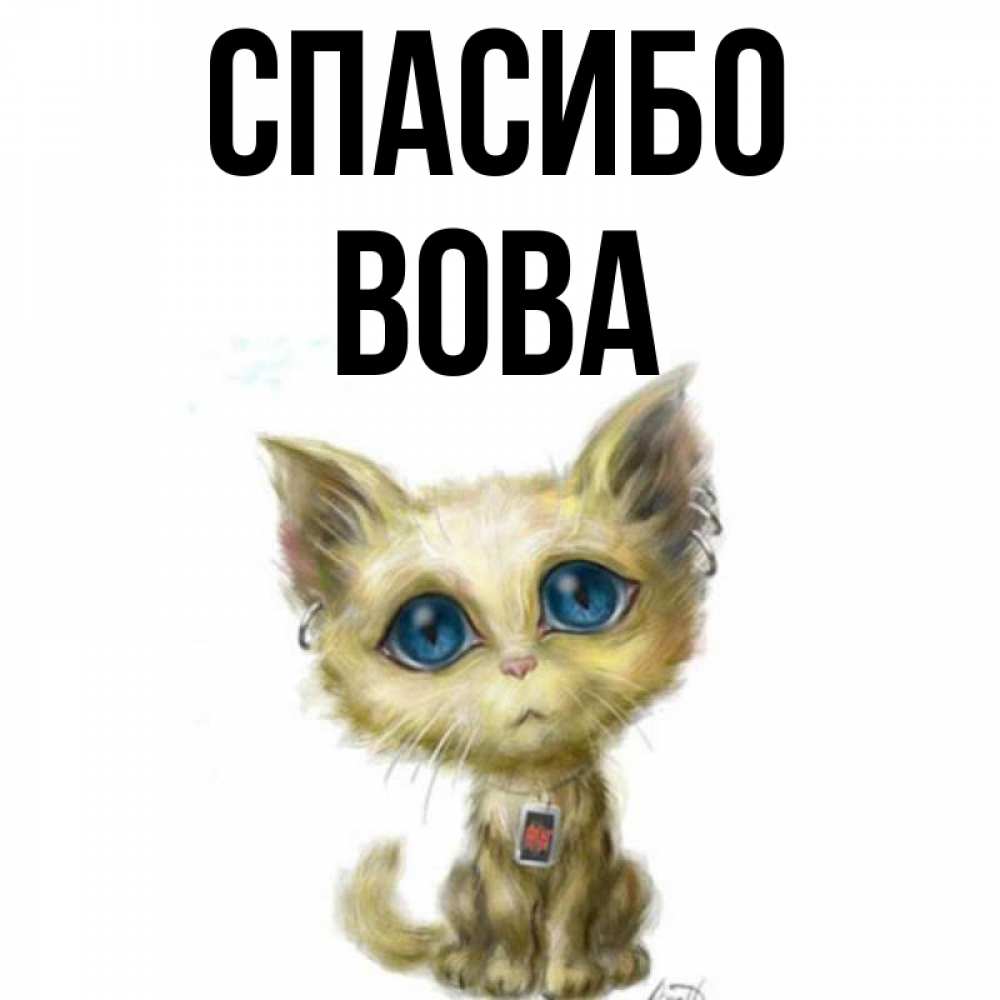 Спасибо володя картинки
