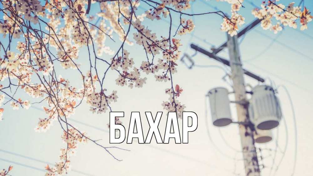 Открытка на каждый день с именем, Бахар Главная весна столб трансформатор Прикольная открытка с пожеланием онлайн скачать бесплатно 