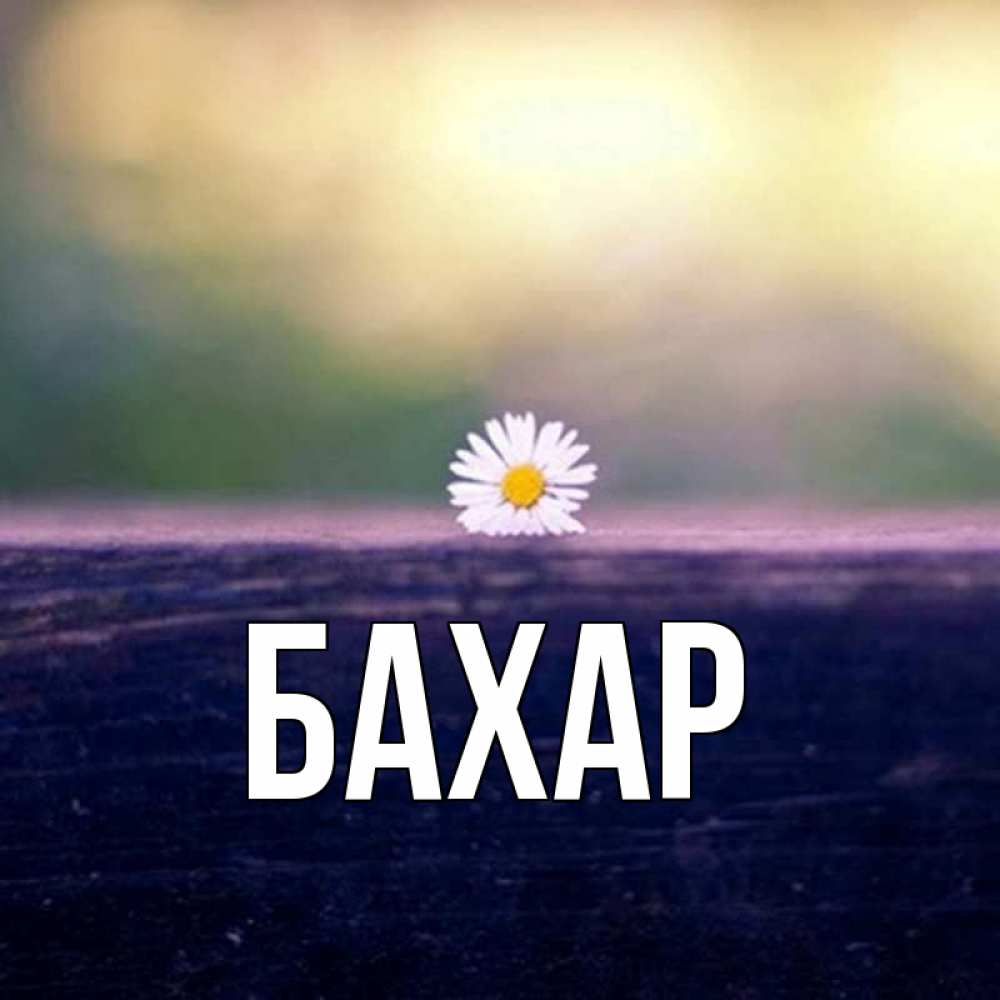 Картинка  с именем , Бахар