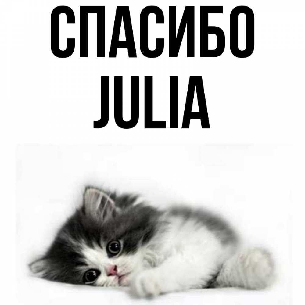 Name is julia