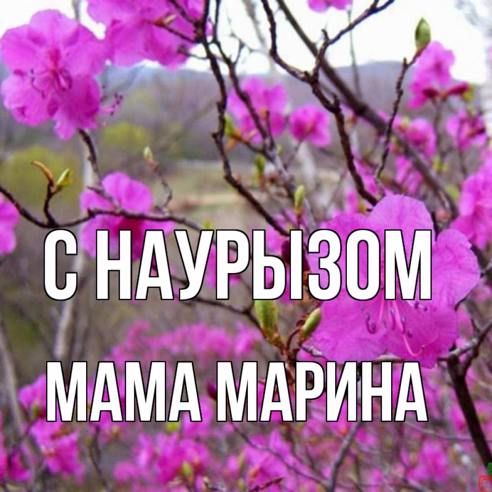 Открытка на каждый день с именем, Мама-Марина С наурызом праздник весны наурыз Прикольная открытка с пожеланием онлайн скачать бесплатно 