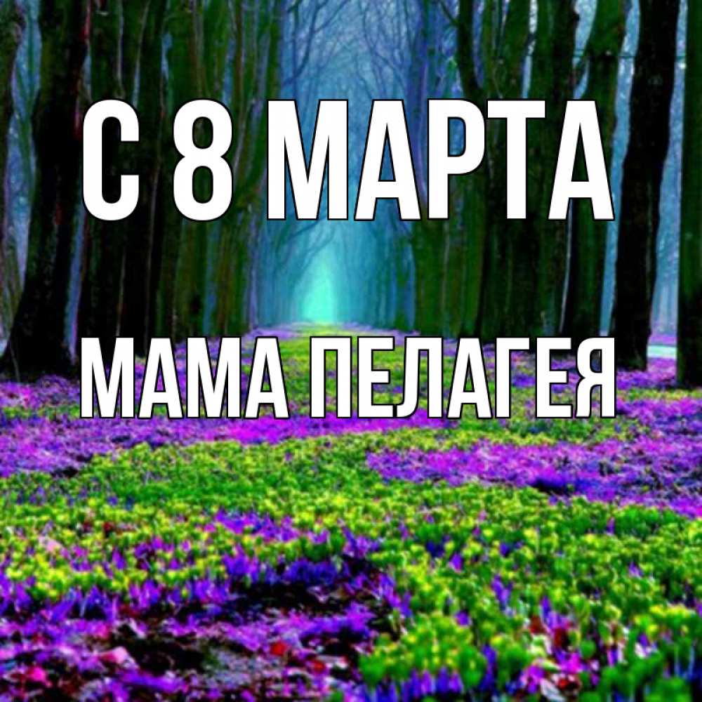 Открытка на каждый день с именем, Мама-Пелагея С 8 МАРТА фиолетовые цветы в лесу 1 Прикольная открытка с пожеланием онлайн скачать бесплатно 