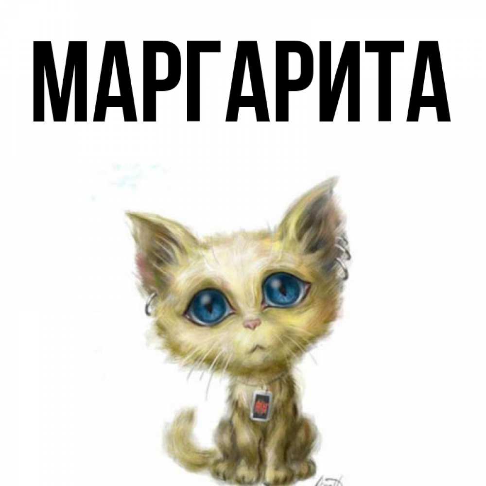 А.а. открытки, картинки про маргариту смешные