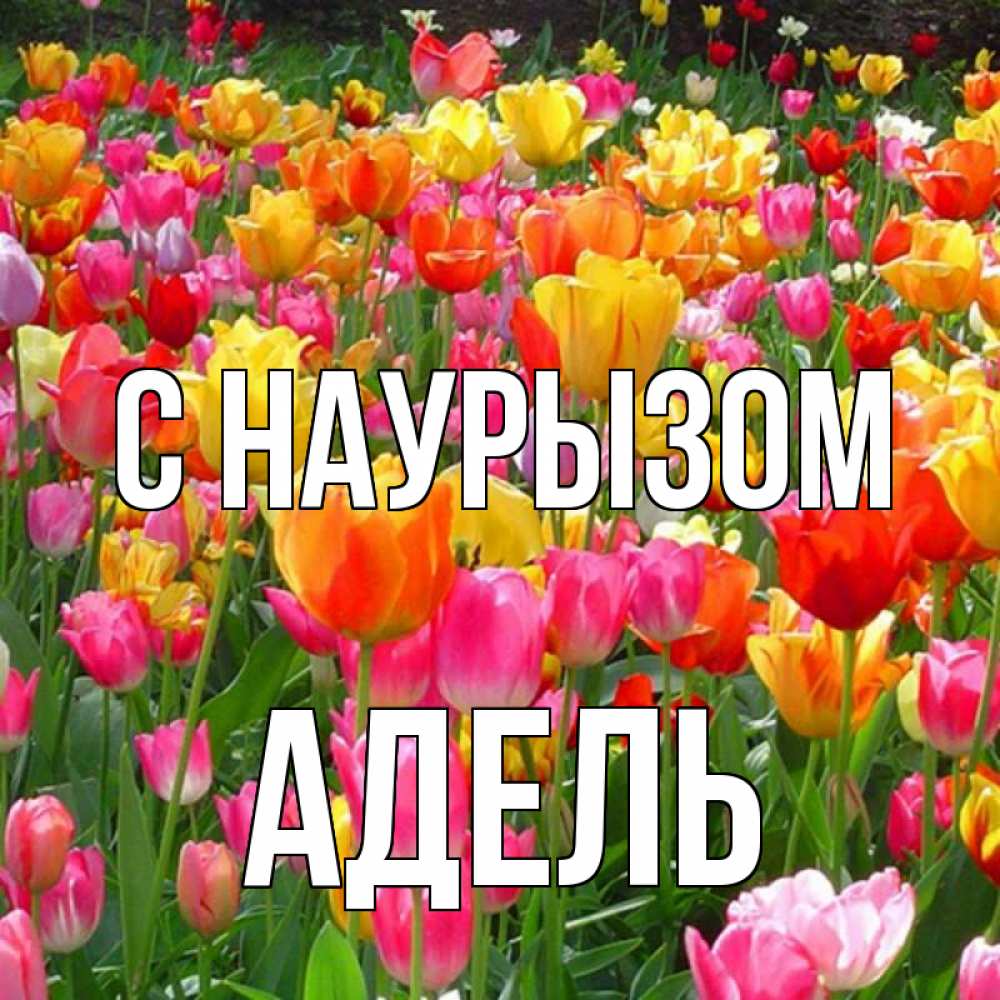 Открытка на каждый день с именем, Адель С наурызом праздник весны наурыз 4 Прикольная открытка с пожеланием онлайн скачать бесплатно 