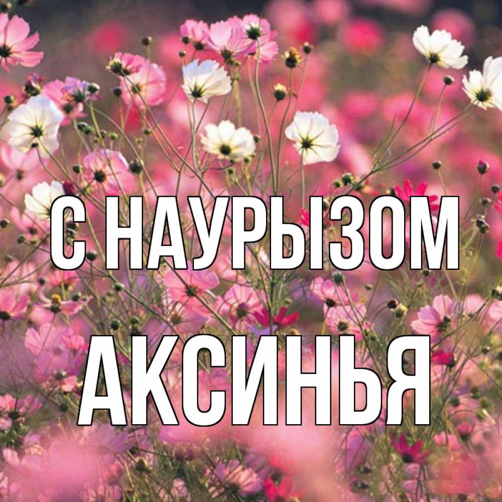 Открытка на каждый день с именем, Аксинья С наурызом красиво 1 Прикольная открытка с пожеланием онлайн скачать бесплатно 