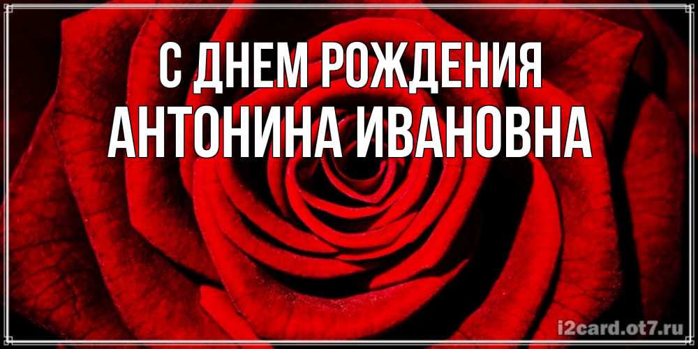 Открытка на каждый день с именем, Антонина-Ивановна С днем рождения алая роза Прикольная открытка с пожеланием онлайн скачать бесплатно 