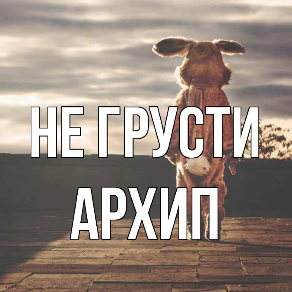 Открытка на каждый день с именем, Архип Не грусти со спины Прикольная открытка с пожеланием онлайн скачать бесплатно 