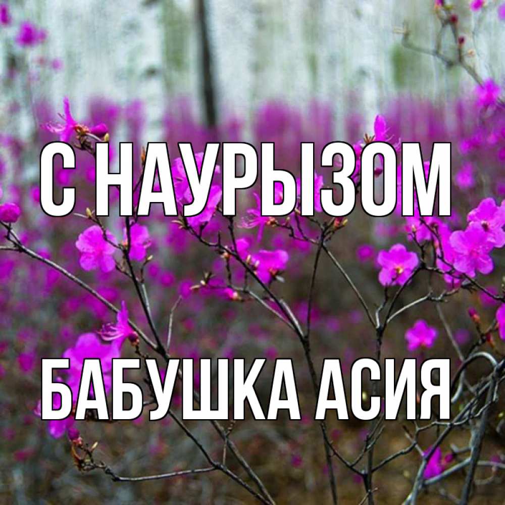 Открытка на каждый день с именем, Бабушка-Асия С наурызом дикие цветы Прикольная открытка с пожеланием онлайн скачать бесплатно 