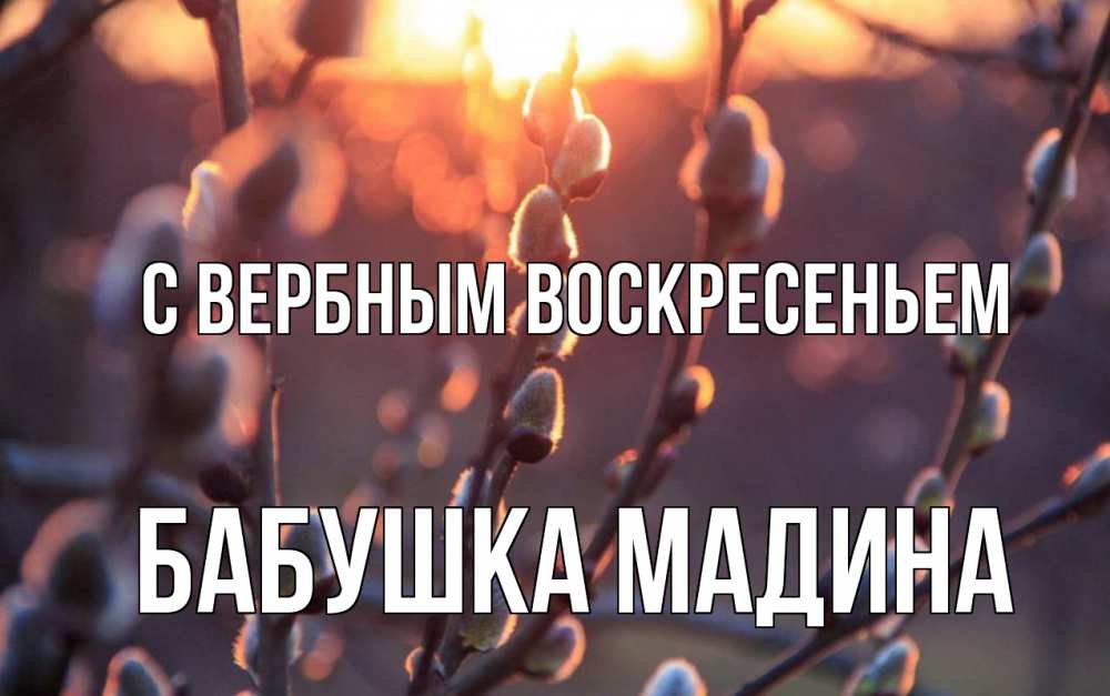 Открытка на каждый день с именем, Бабушка-Мадина С вербным воскресеньем верба Прикольная открытка с пожеланием онлайн скачать бесплатно 