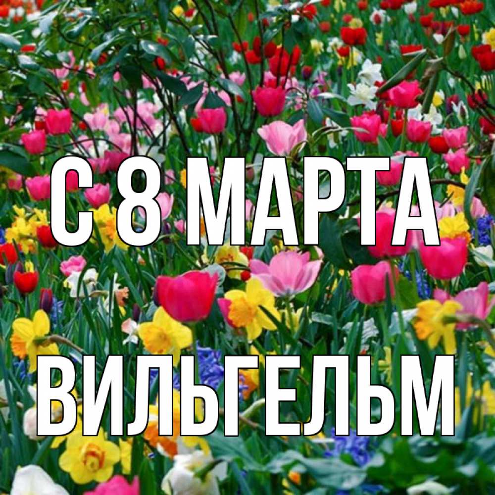 Открытка на каждый день с именем, Вильгельм С 8 МАРТА с международным женским днем поздравления для женщины Прикольная открытка с пожеланием онлайн скачать бесплатно 