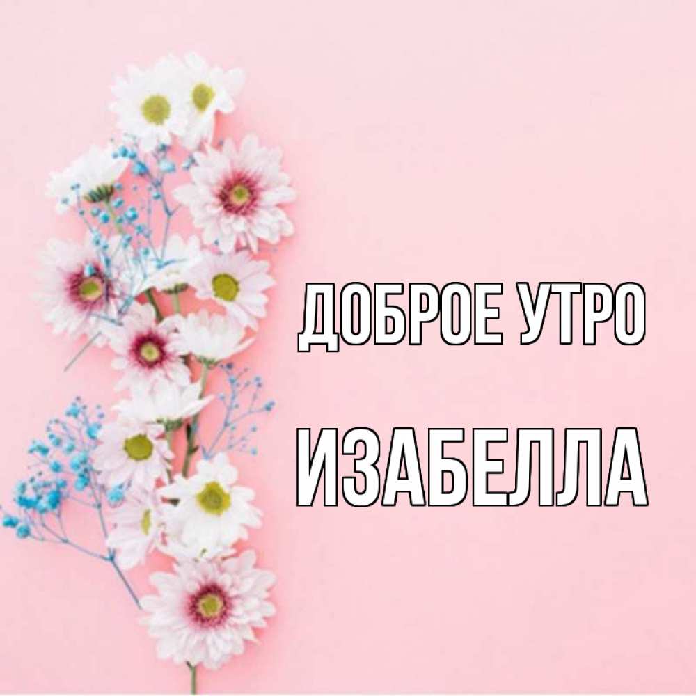 Открытка на каждый день с именем, Изабелла Доброе утро цветы с подписью Прикольная открытка с пожеланием онлайн скачать бесплатно 