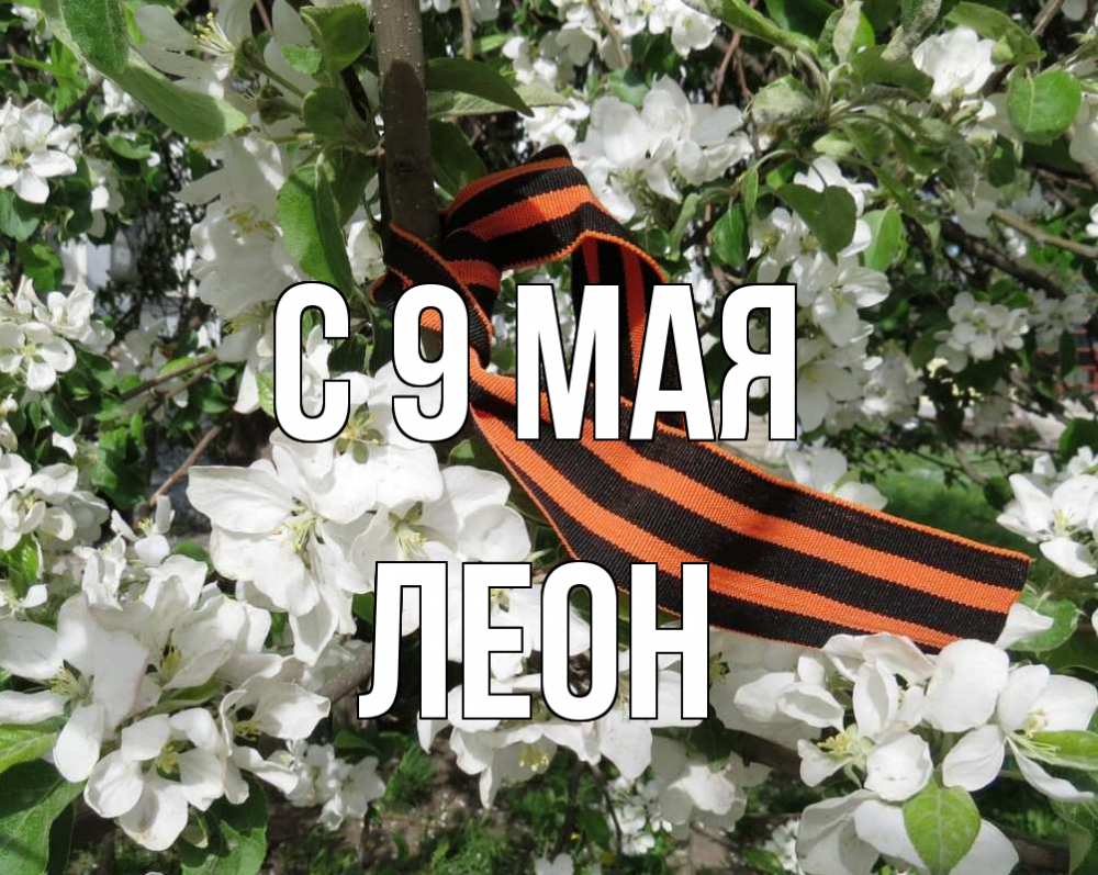 Открытка на каждый день с именем, Леон С 9 мая 9 мая Прикольная открытка с пожеланием онлайн скачать бесплатно 