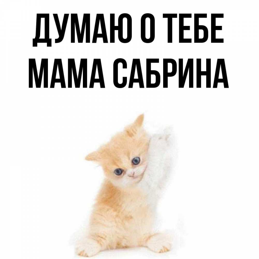 Открытка на каждый день с именем, Мама-Сабрина Думаю о тебе зверушки и милота Прикольная открытка с пожеланием онлайн скачать бесплатно 