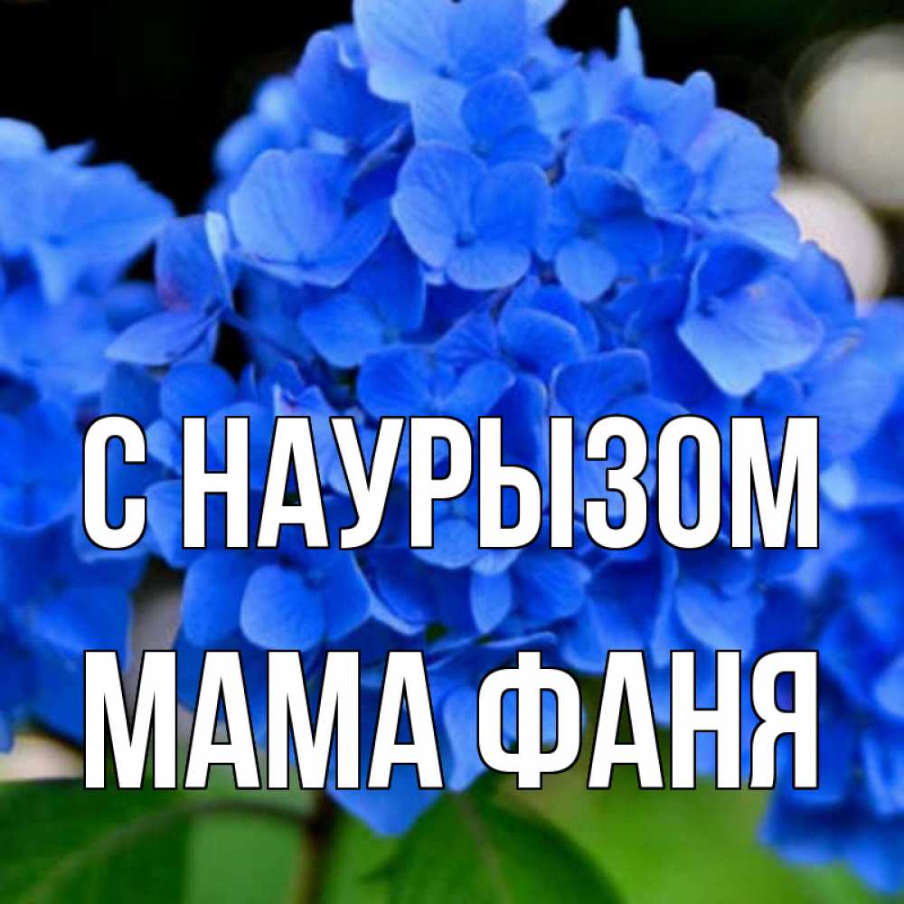 Открытка на каждый день с именем, Мама-Фаня С наурызом синие цветы Прикольная открытка с пожеланием онлайн скачать бесплатно 