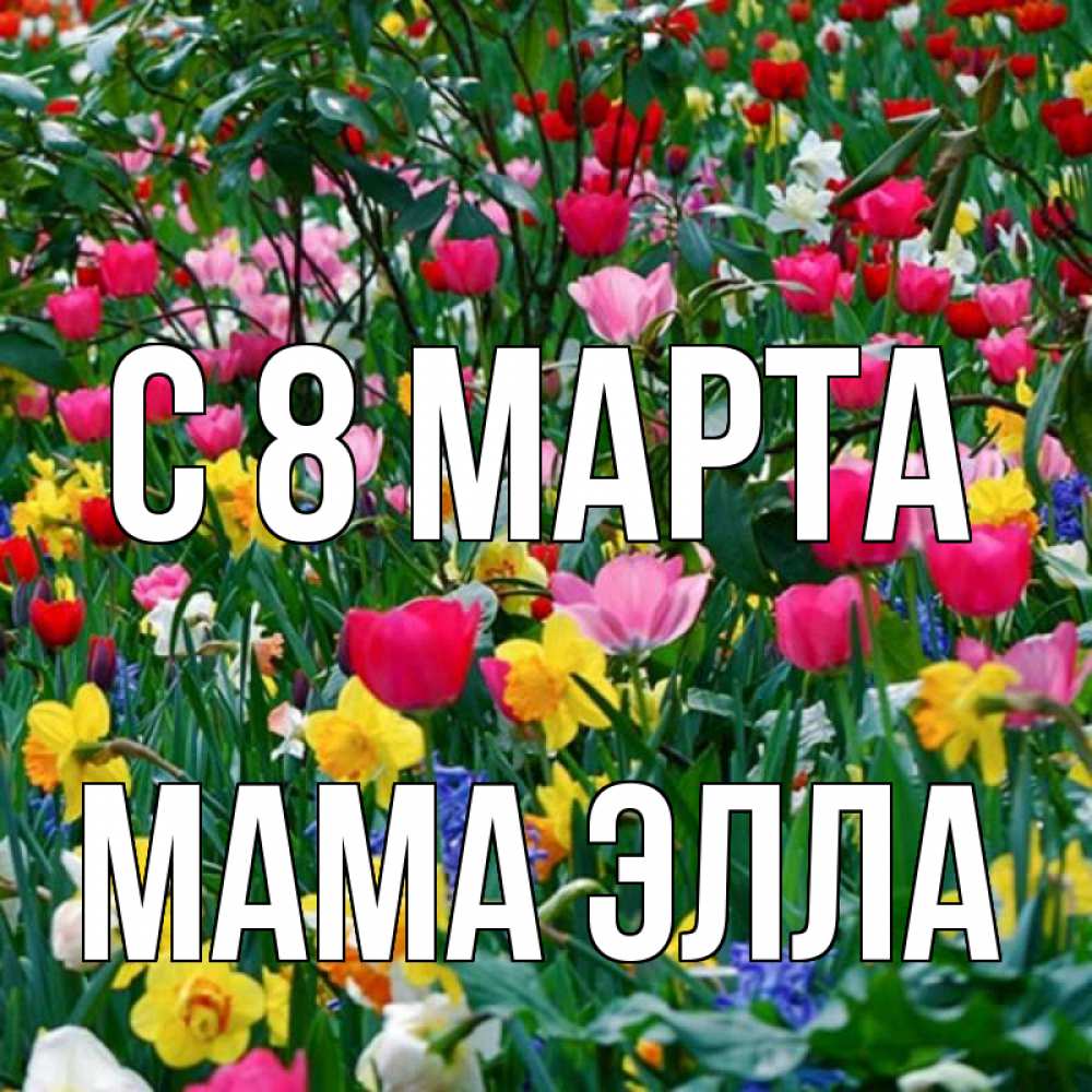 Открытка на каждый день с именем, Мама-Элла С 8 МАРТА с международным женским днем поздравления для женщины Прикольная открытка с пожеланием онлайн скачать бесплатно 