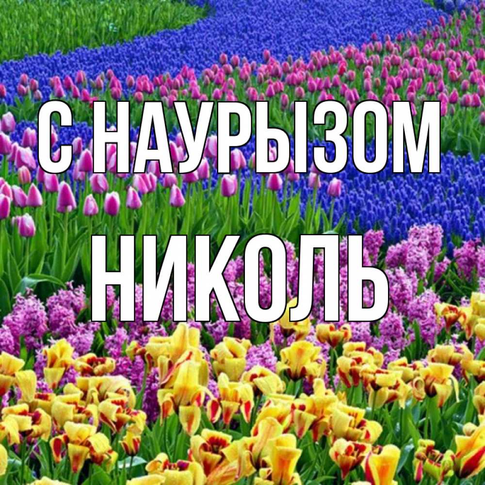 Открытка на каждый день с именем, Николь С наурызом цветы Прикольная открытка с пожеланием онлайн скачать бесплатно 